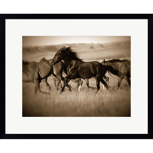 Dark Horse by J.C. Leacock, Framed Art