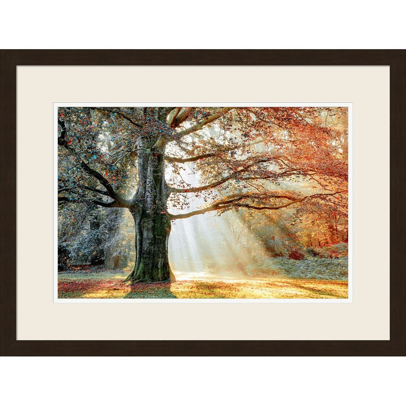 Basking In The Sun by Lars Van De Goor, Framed Art