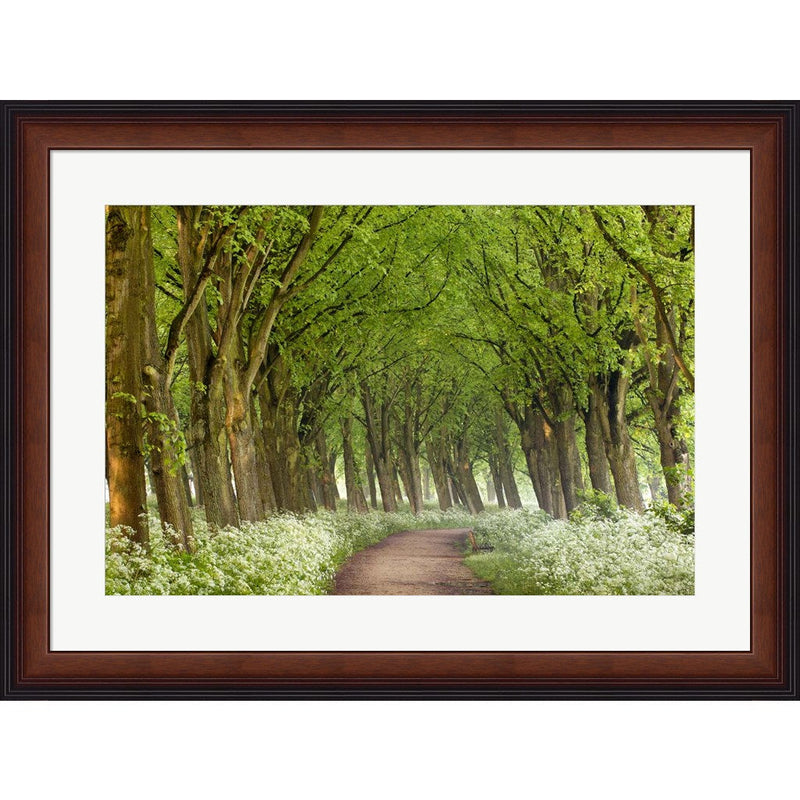 Cow Parsley Curve by Lars Van De Goor, Framed Art