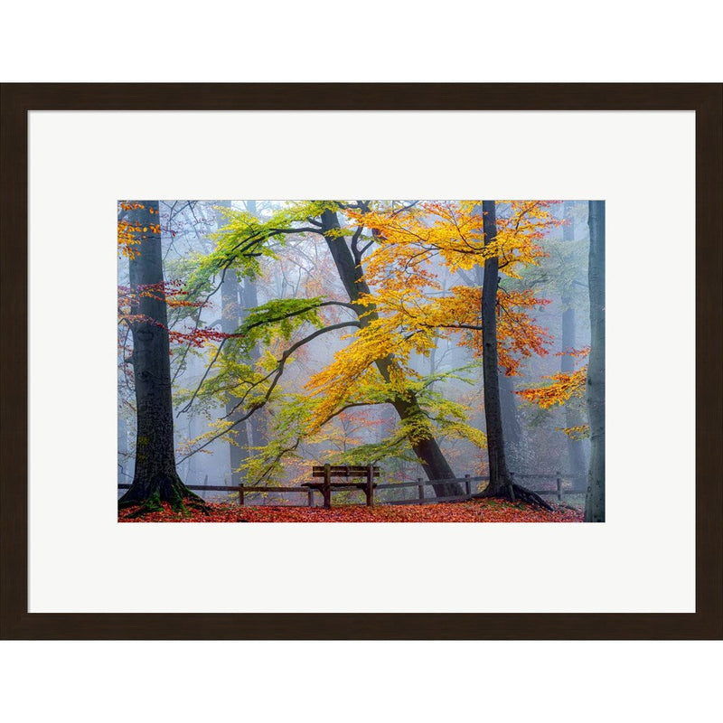Take A Seat And Enjoy by Lars Van De Goor, Framed Art