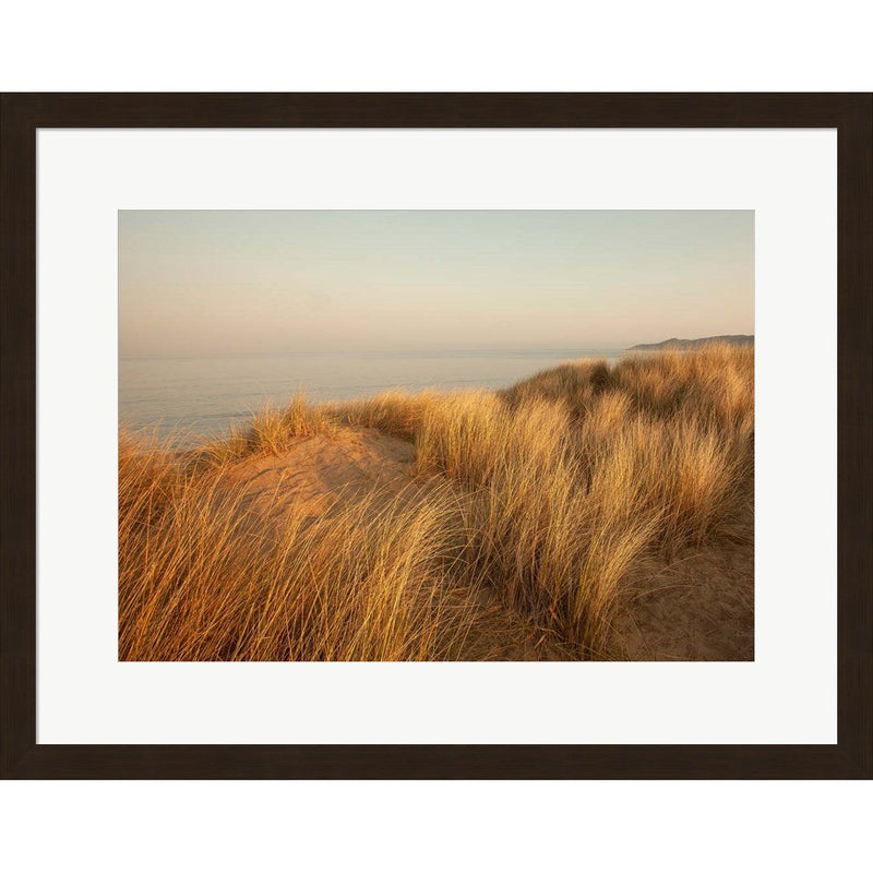 Dunes with Seagulls 7 by Ian Winstanley, Framed Art