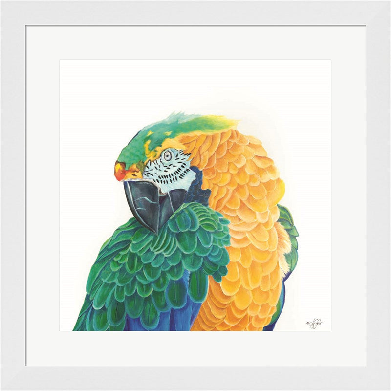 Coyness by Diane Fifer, Framed Art