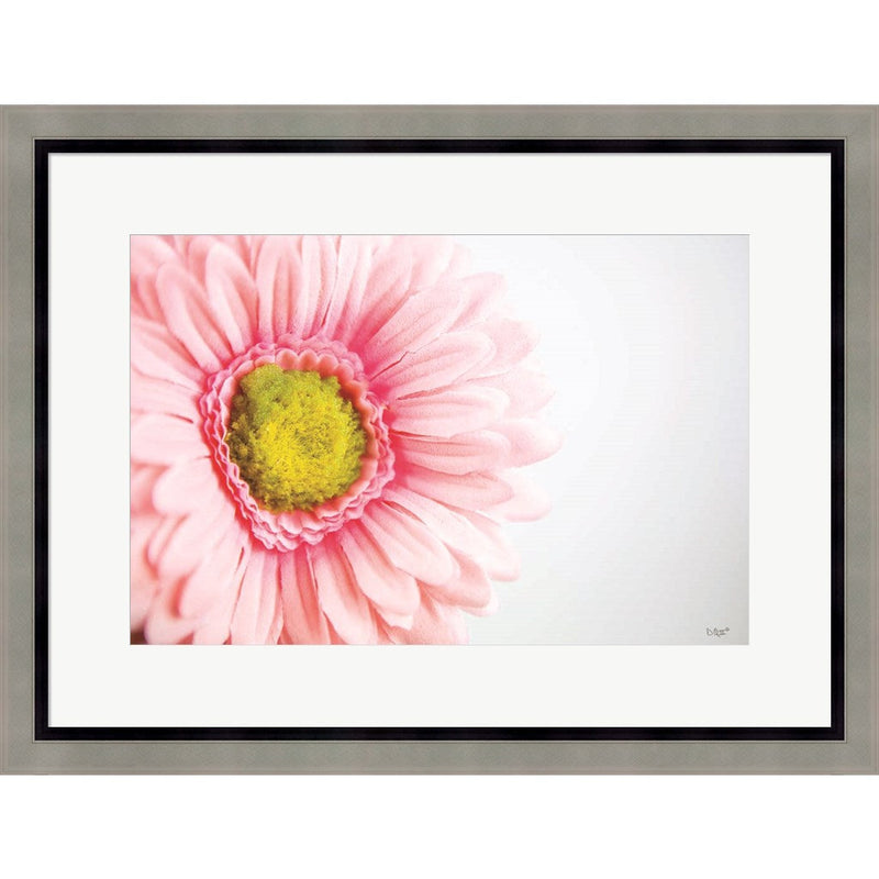Daisy Close-up by Donnie Quillen, Framed Art