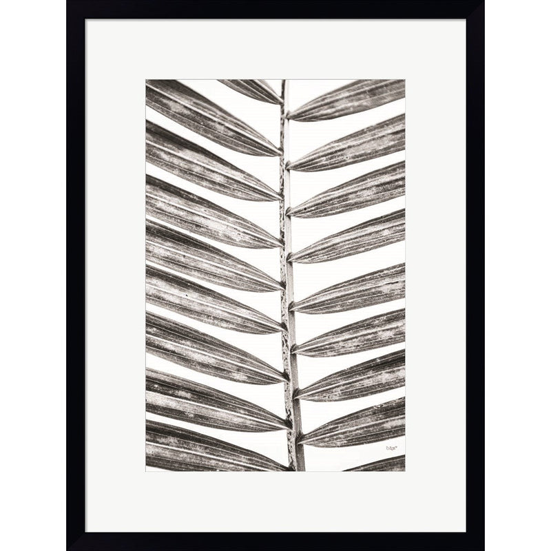 Leaf Study VII by Donnie Quillen, Framed Art