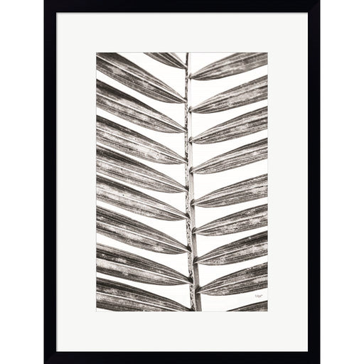 Leaf Study VII by Donnie Quillen, Framed Art