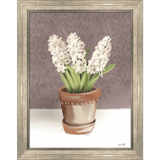 House Hyacinth Plant by House Fenway, Framed Art