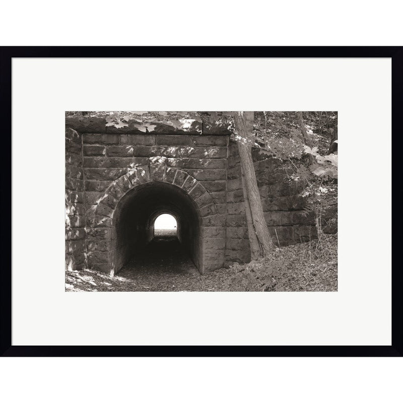 Juniata Tunnel by Lori Deiter, Framed Art