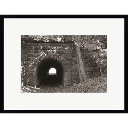 Juniata Tunnel by Lori Deiter, Framed Art