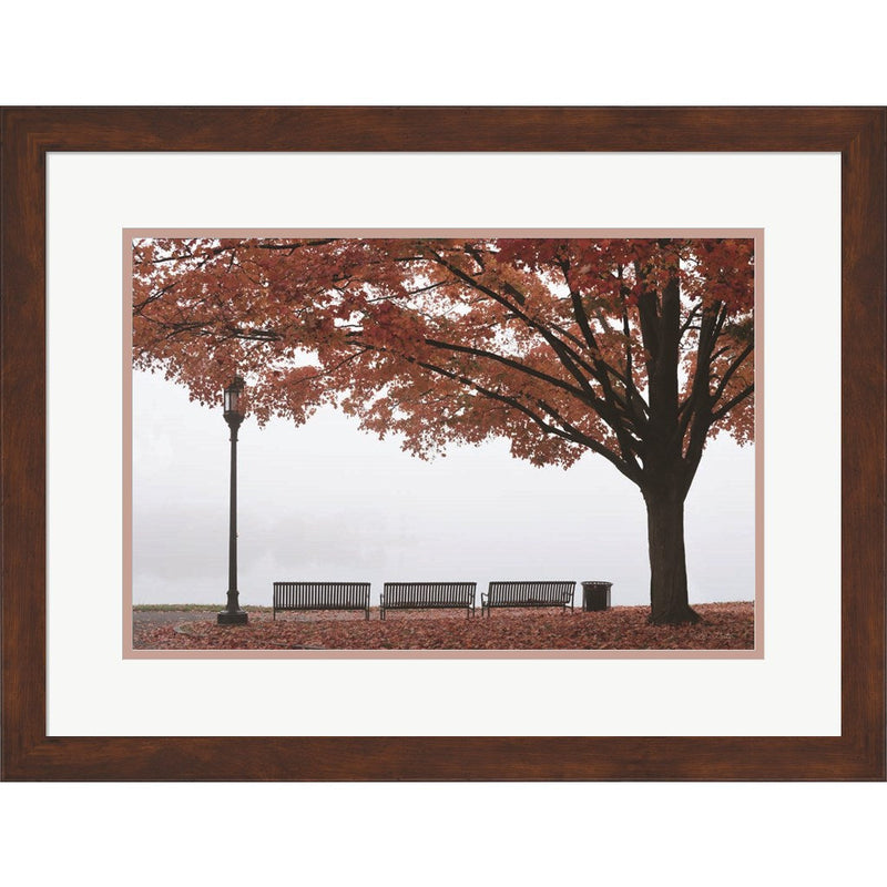 A Place to Dream by Lori Deiter, Framed Art