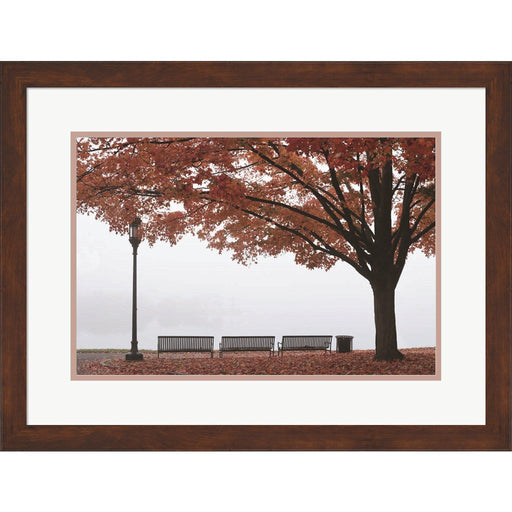 A Place to Dream by Lori Deiter, Framed Art