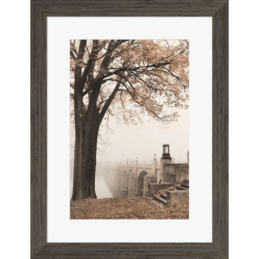 Market Street in Autumn by Lori Deiter, Framed Art