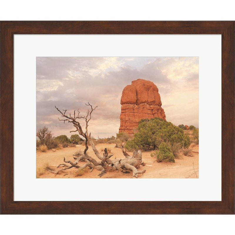 Dusty Desert I by Lori Deiter, Framed Art