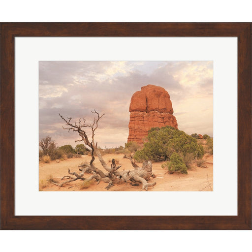 Dusty Desert I by Lori Deiter, Framed Art
