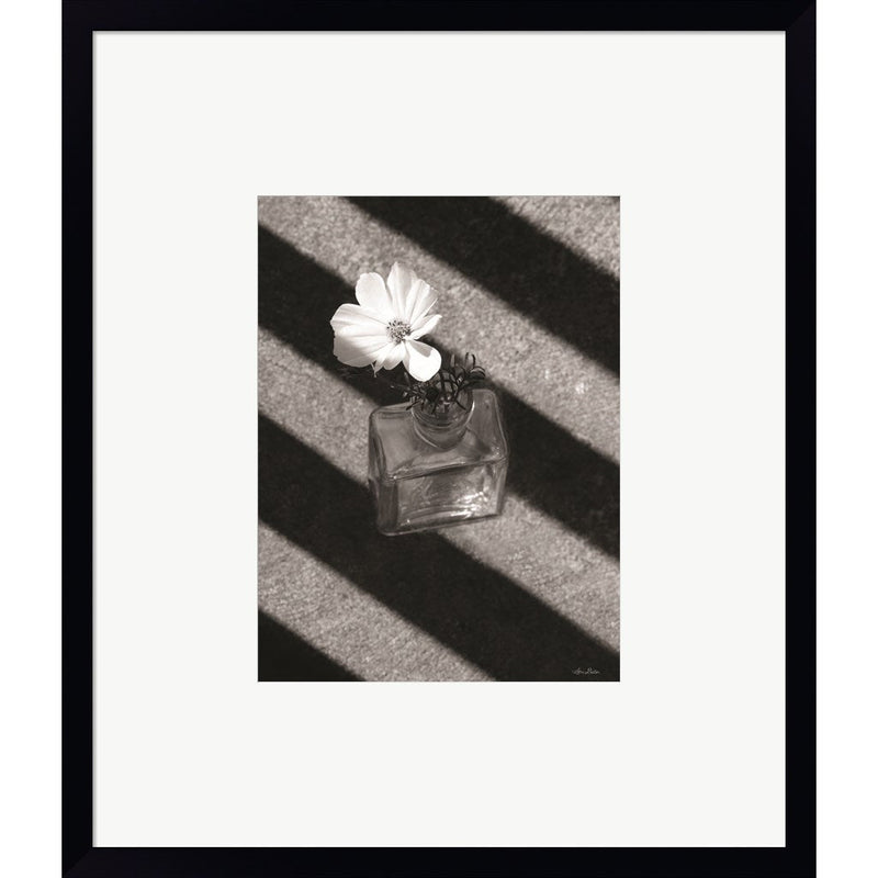 Cosmos and Shadows by Lori Deiter, Framed Art
