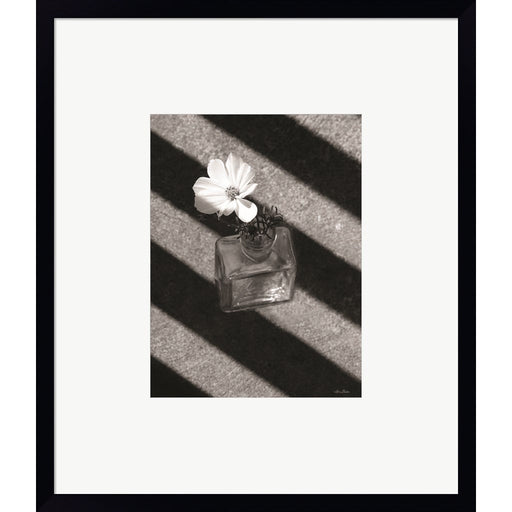 Cosmos and Shadows by Lori Deiter, Framed Art