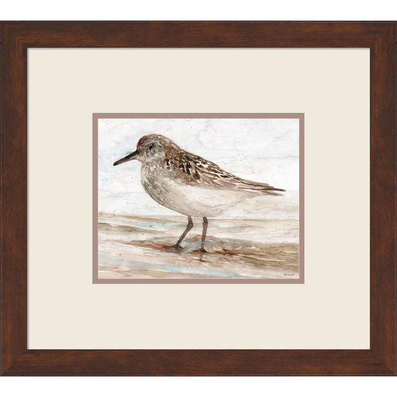Sanibel Piper 1 by Stellar Design Studio, Framed Art