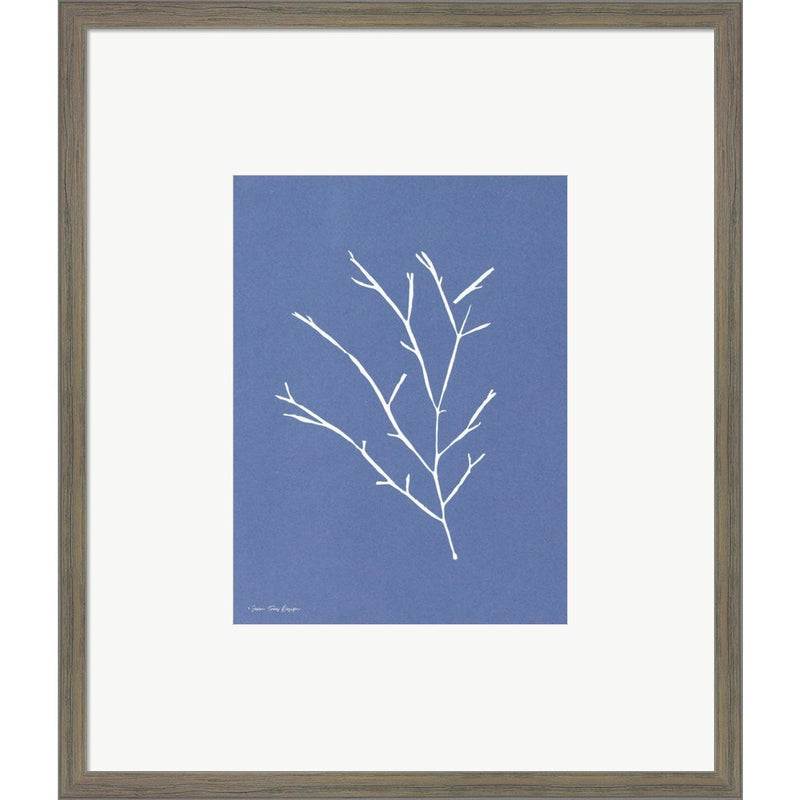 Blue Botanical III by Seven Trees Design, Framed Art