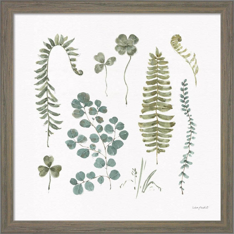 Fern Study 02 by Lisa Audit, Framed Art