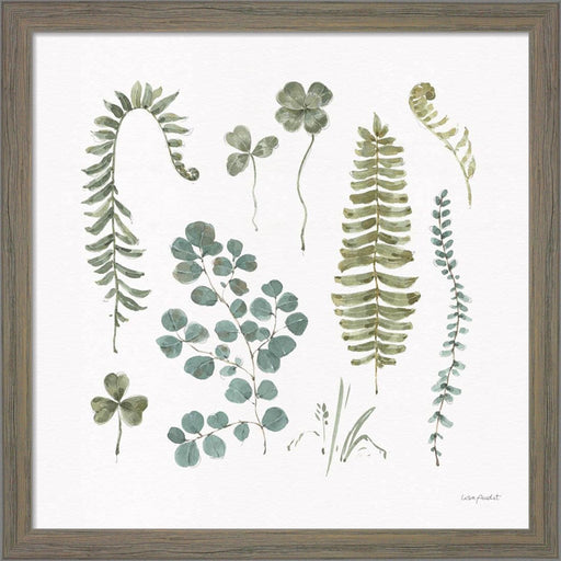 Fern Study 02 by Lisa Audit, Framed Art