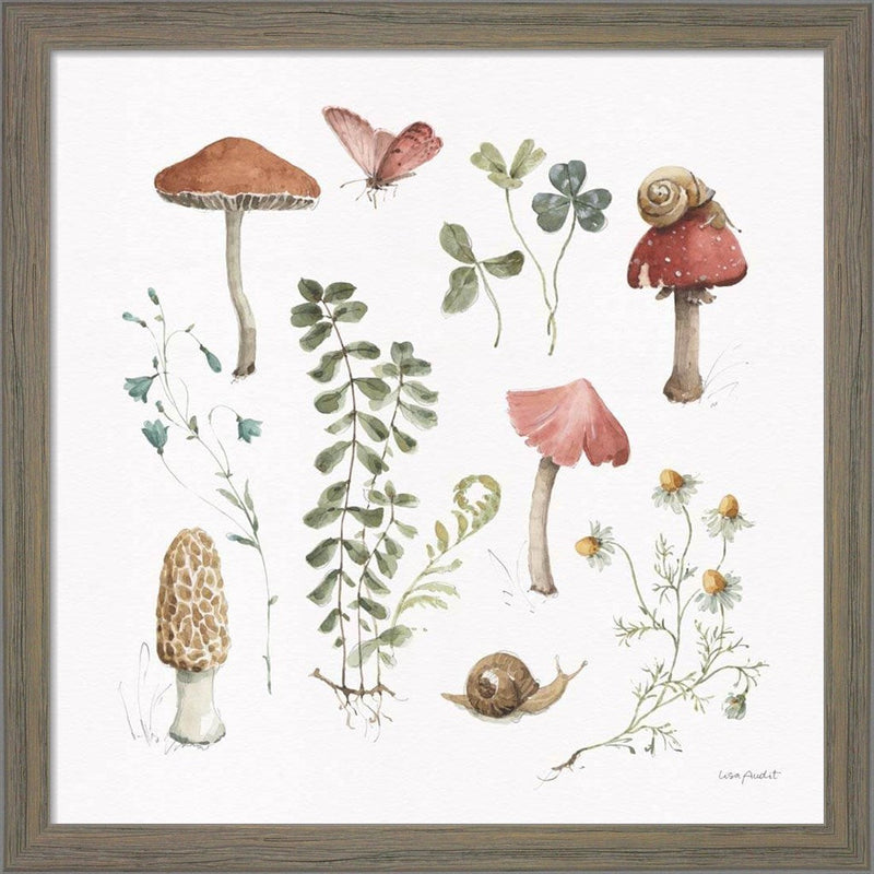 Forest Treasures 02 by Lisa Audit, Framed Art
