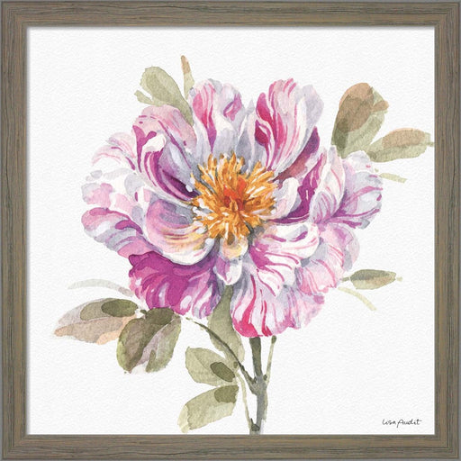 Obviously Pink 04A by Lisa Audit, Framed Art