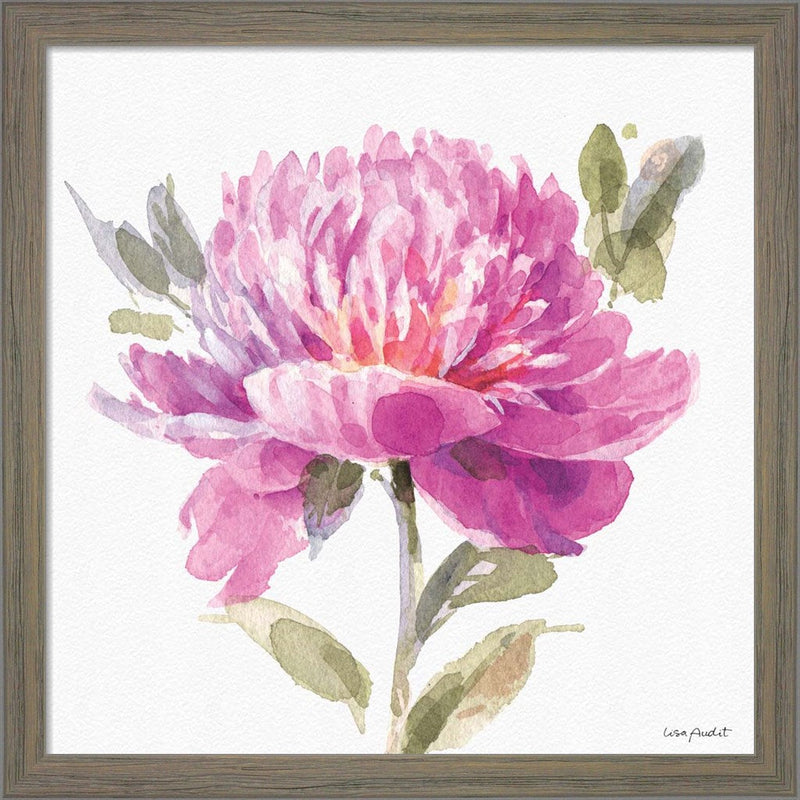 Obviously Pink 05A by Lisa Audit, Framed Art
