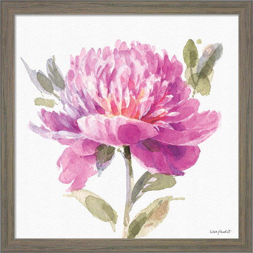 Obviously Pink 05A by Lisa Audit, Framed Art