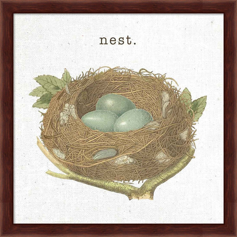 Spring Nest III Nest by Moira Hershey, Framed Art