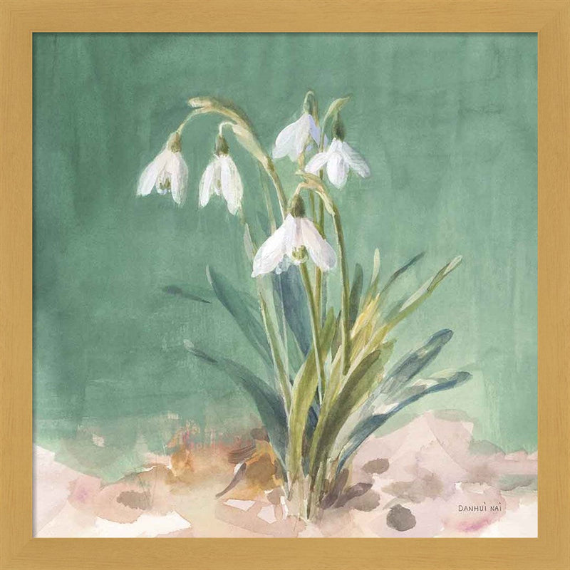 Soft Dewdrops by Danhui Nai, Framed Art