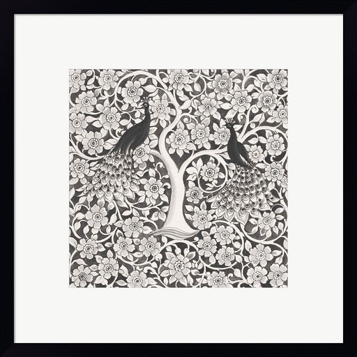 Peacock Garden VII BW by Miranda Thomas, Framed Art