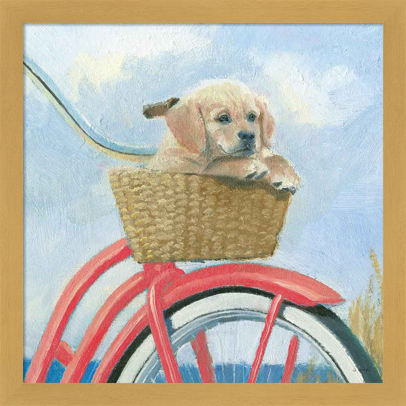 Beach Ride V by James Wiens, Framed Art