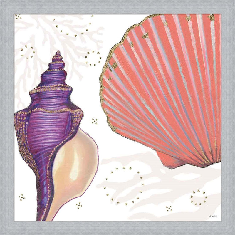 Shimmering Shells I by James Wiens, Framed Art