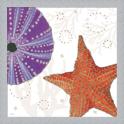 Shimmering Shells III by James Wiens, Framed Art