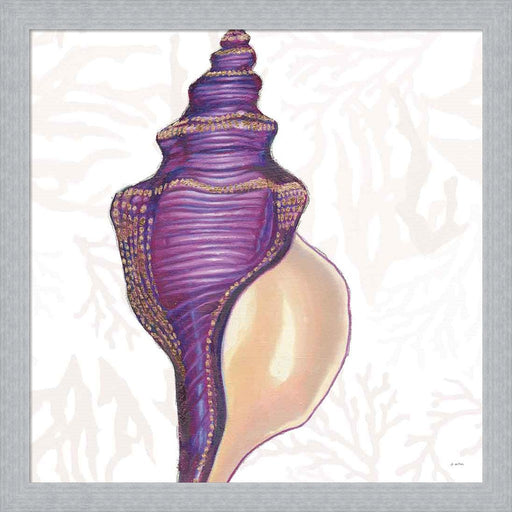 Shimmering Shells IX by James Wiens, Framed Art