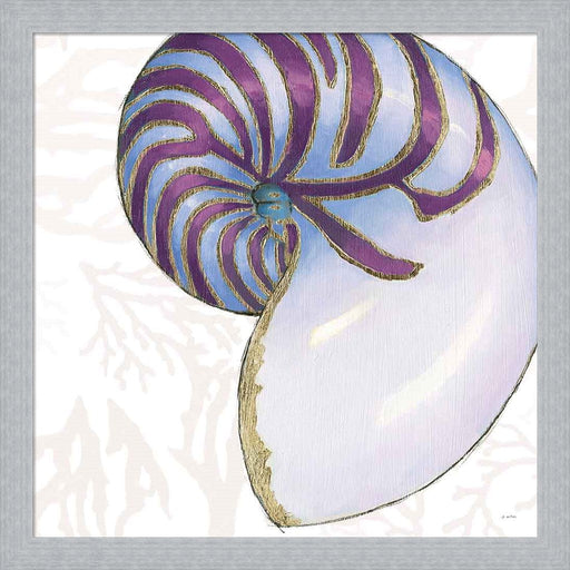 Shimmering Shells VI by James Wiens, Framed Art
