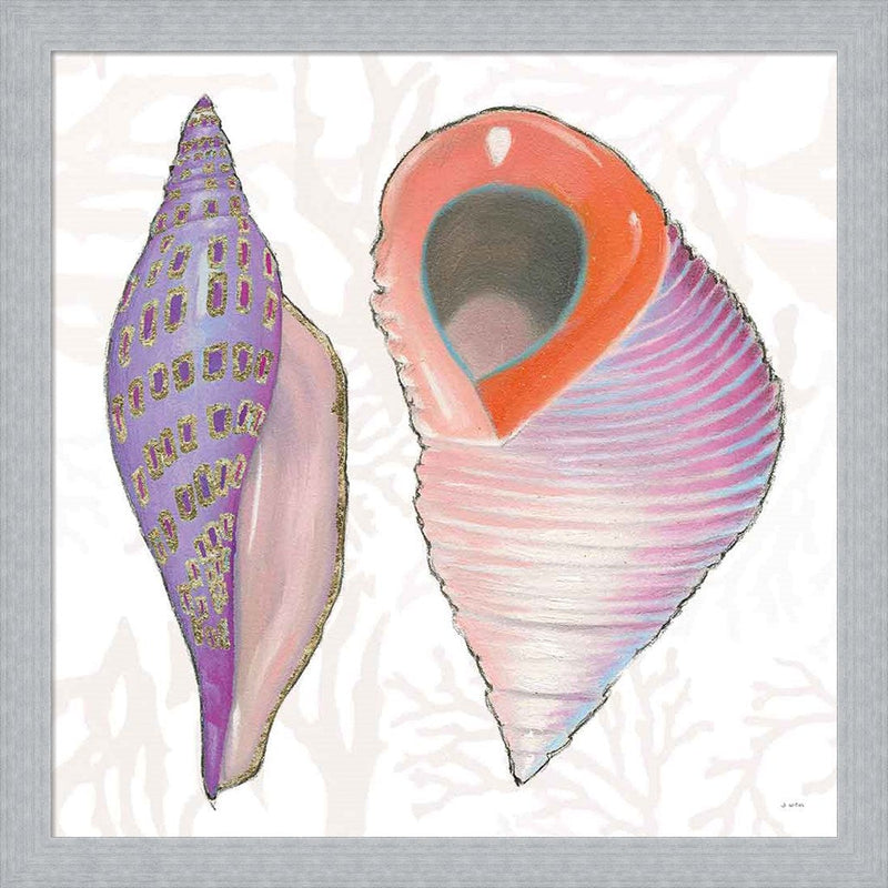 Shimmering Shells X by James Wiens, Framed Art