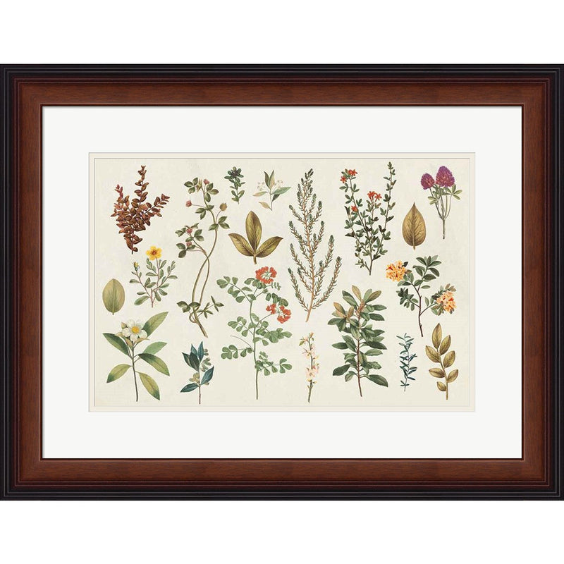 Victorian Garden III Autumn by Wild Apple Portfolio, Framed Art