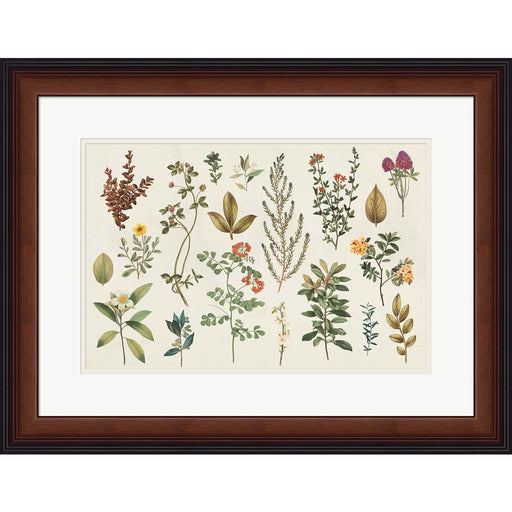 Victorian Garden III Autumn by Wild Apple Portfolio, Framed Art