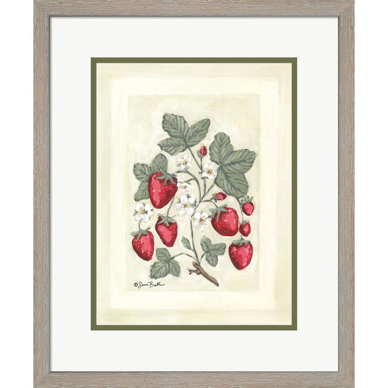 Sweet Summer Strawberries I by Sara Baker, Framed Art
