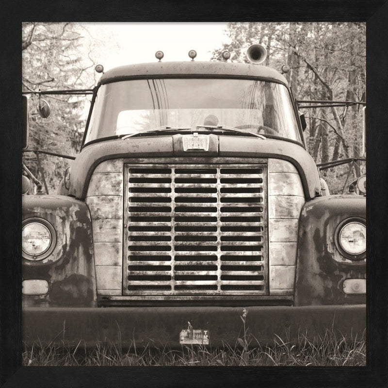 Retired Truck II by Lori Deiter, Framed Art