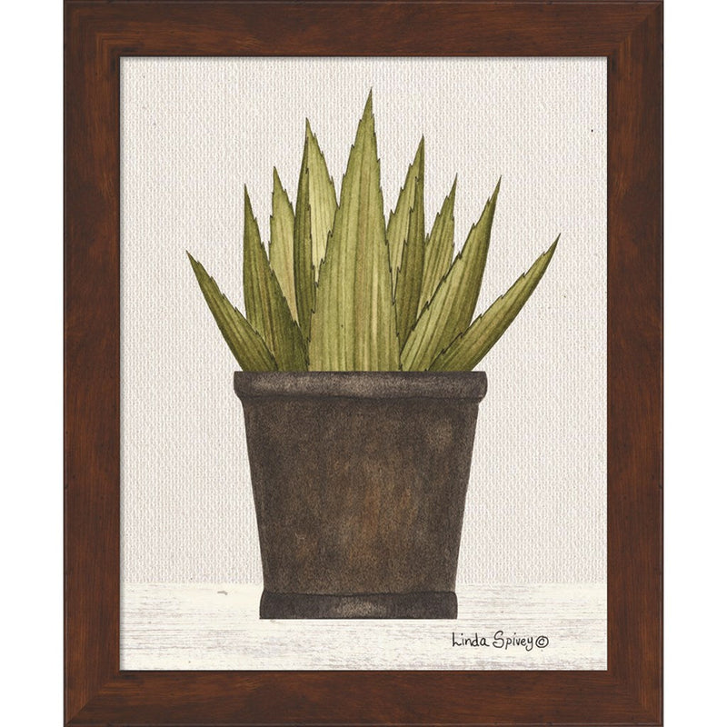 Potted Aloe Vera by Linda Spivey, Framed Art