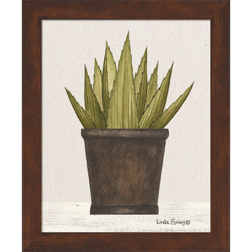Potted Aloe Vera by Linda Spivey, Framed Art