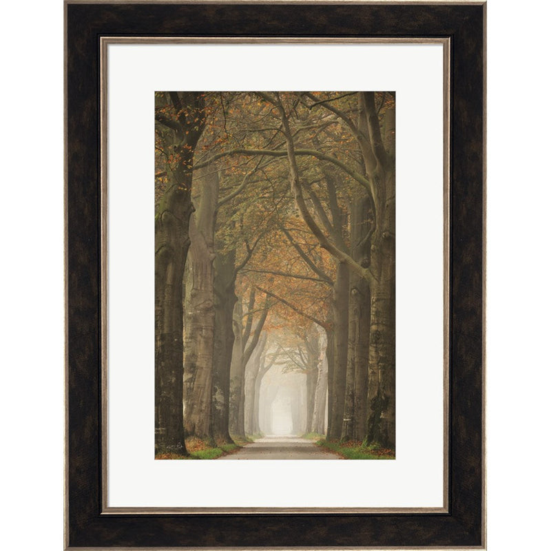 Beech Lined Road by Martin Podt, Framed Art