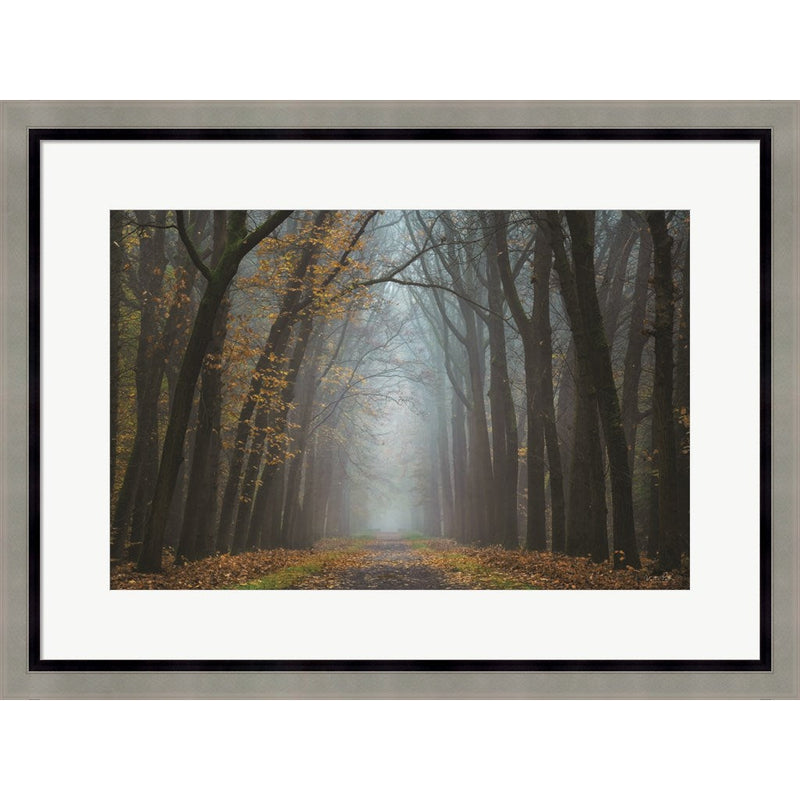 Moody Autumn by Martin Podt, Framed Art