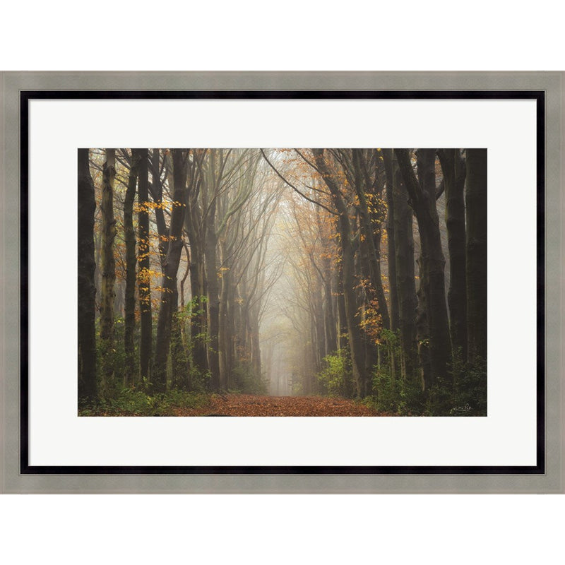 The Unknown Road by Martin Podt, Framed Art