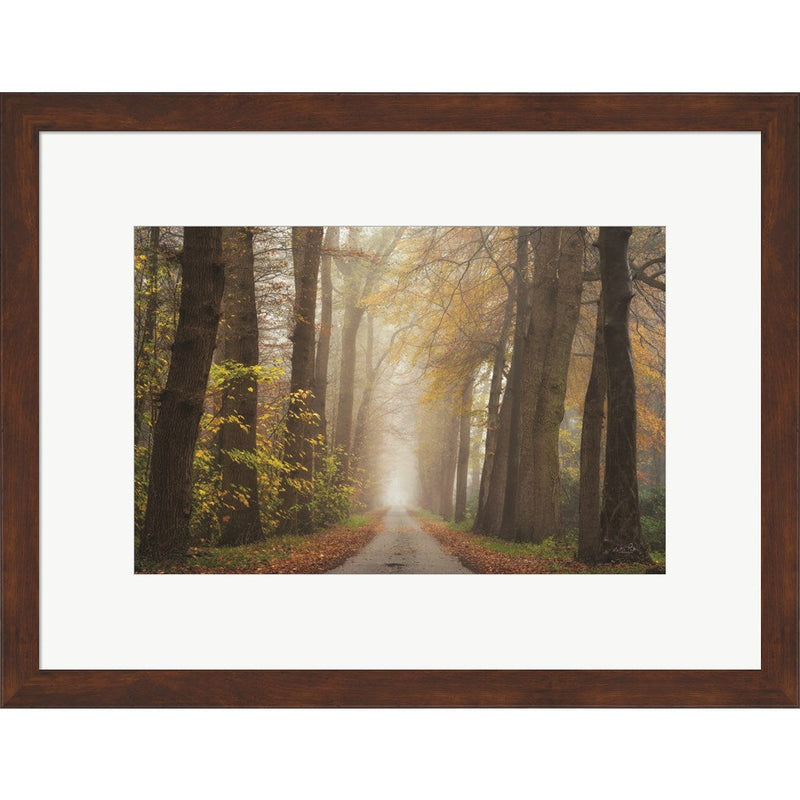 Autumnal Moodiness by Martin Podt, Framed Art
