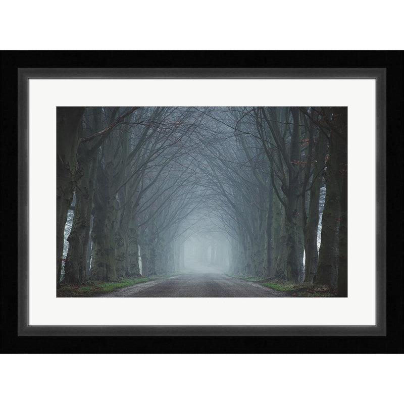 The Old Beeches by Martin Podt, Framed Art