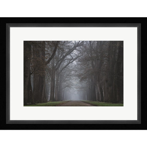 Creepy Road by Martin Podt, Framed Art