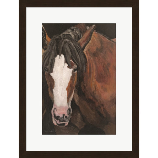 Horse Portrait I by Suzi Redman, Framed Art