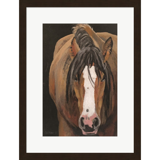 Horse Portrait II by Suzi Redman, Framed Art